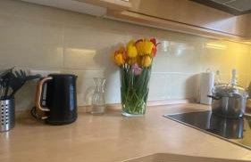 2 Schlafzimmer Apartment, Küche u Terrasse in Freiburg - Foto 18