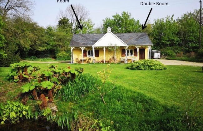 Glyndwr Vineyard - Foto 37