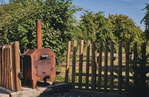 Curious Calf - Foto 13