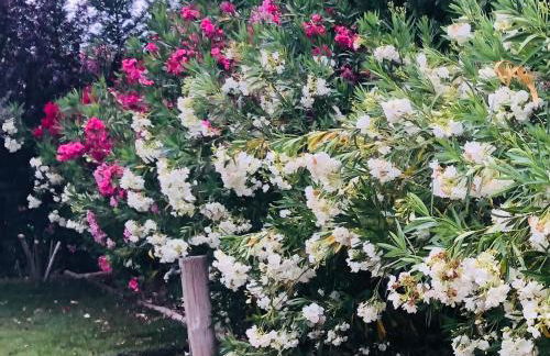 Villa Castillon - Foto 31