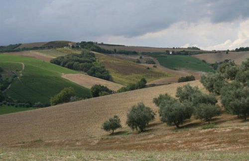 Agriturismo Cignale della Società Agricola Cignale srl - Photo 53