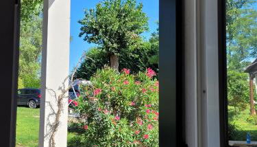 La casa di Bruno - Foto 3, Garden, Garden view