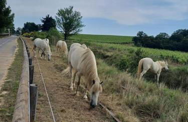 Studio mi casa es su casa - Photo 24