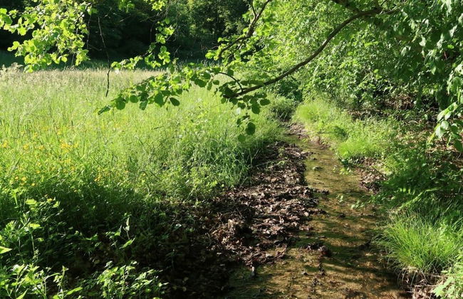 Old Town Hall Apartment in Baden-wurttemberg - Foto 15