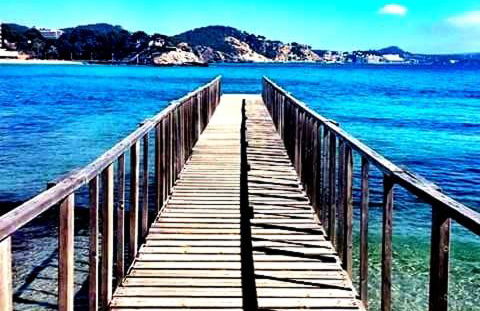 Apartamentos Petit Blau - Foto 15