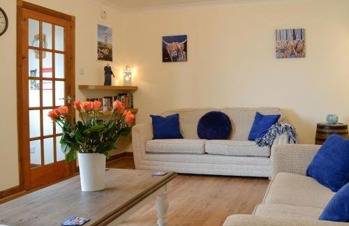 Cotton Shore - Foto 1