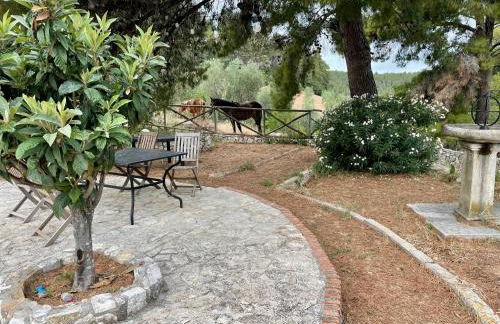 Novecento Country House - Foto 48