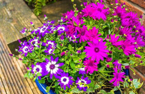 Spacious 4-Bed House Near Wigan Warrington - Foto 36