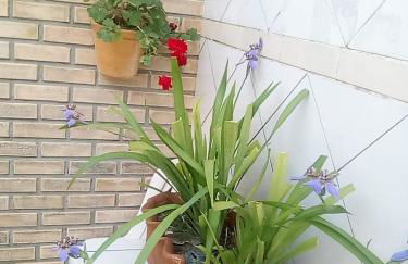 Pousada Mar Aberto Pinheira - Foto 79