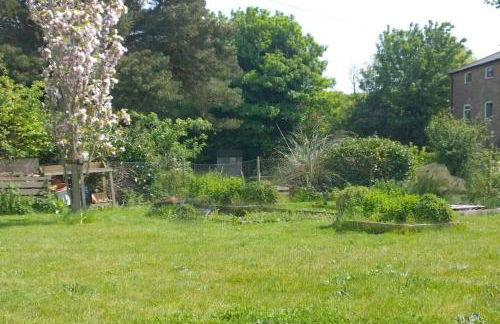 Period Cottage near Suffolk Coast and Forest - Foto 6