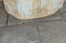 DIMITRA's VILLAS - Foto 59