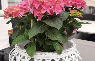 Der perfekte Ausgangspunkt - Foto 45