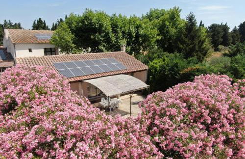 Les Gîtes du Mas Canillac - Foto 54