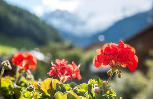 Alpenblick Nr 5 - Photo 13