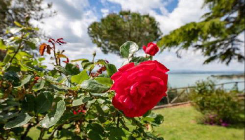 Il Sodino 1738 - Locazione Turistica - Photo 4, Garden, Garden view