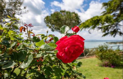 Il Sodino 1738 - Locazione Turistica - Photo 4