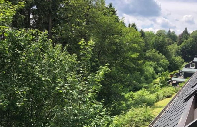 Apartment Pistenblume - Foto 16