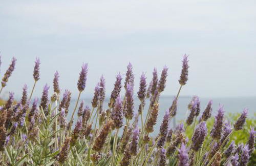 Maria Rooms - Foto 27