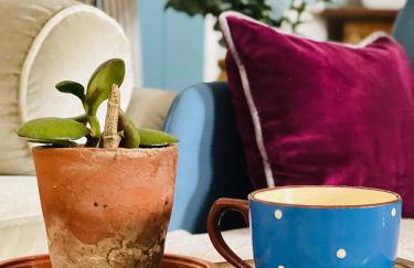 The Pepper Pot - Photo 25