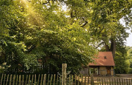 Wellness-Auszeit im Dümmer-Weserland in außergewöhnlichem Ferienhaus inklusive privates Saunahaus - Foto 1