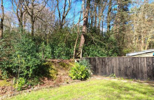 Forest Cabin Retreat - Sleeps 2 - Wifi & Garden - Foto 8