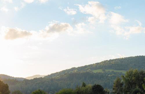 Beskid Penthouse Milówka - Photo 28