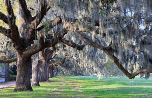 Cozy Home in Downtown close to Forsythe park - Foto 38