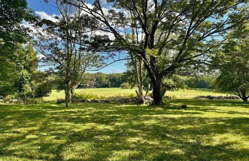 Historic Farm on 96 Acres! - Foto 9