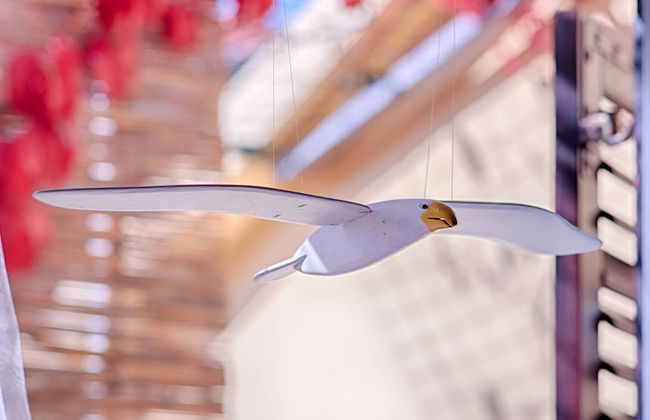 Apartments Mediteraneo - Foto 38