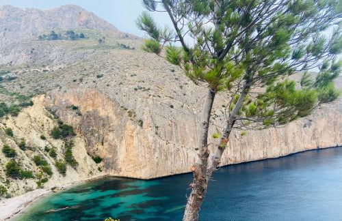 Can Luc Altea - Photo 65