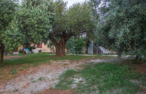 Armandiola - Foto 51