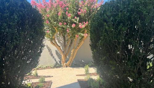 Casa com jardim perto da praia - Foto 4