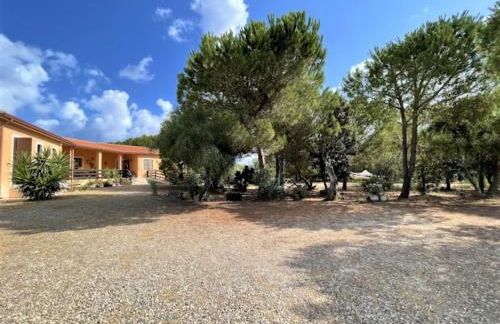 Il Lentischio del Sinis - Foto 1