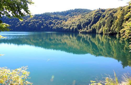 Charmant T2 rénové et climatisé chez Cathy - Foto 28