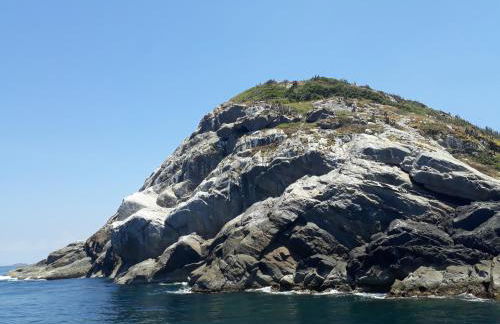 Hospedaria da Gabi - Foto 53