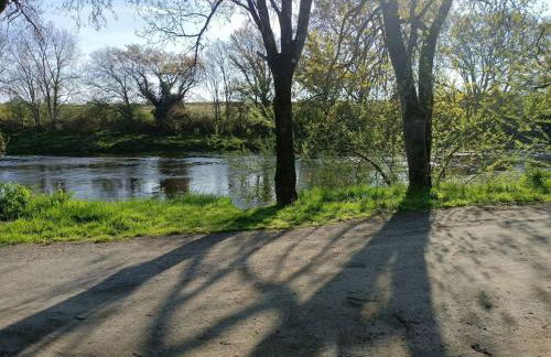 Les hirondelles au bord de l'eau - Foto 9