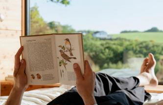 Oak - K1 Baumhaus - Foto 21