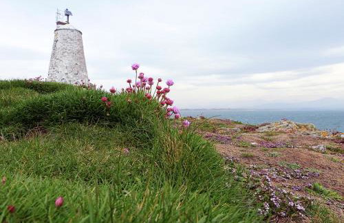 Bryn Lon Bach - Foto 18
