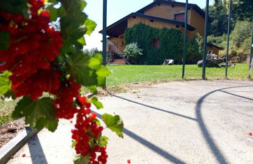 Estrella del alba - Foto 28