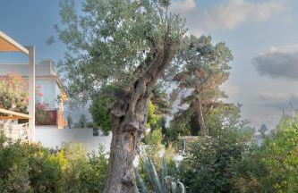 BAIA DELLE AGAVI - Foto 11