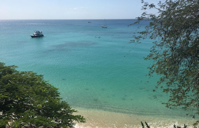 Sea Glass Place - Foto 74