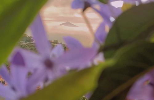 Apartamento Aymara de StarApsTenerife - Foto 9