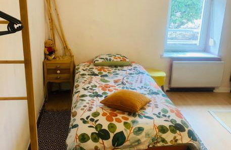 Côté Rive, au bord de la rivière La Moselotte et terrasse - Foto 11