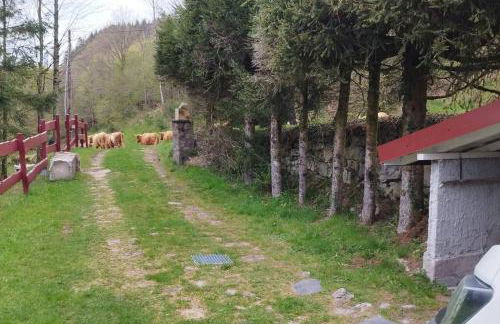 Maison de montagne vue magnifique - Foto 47