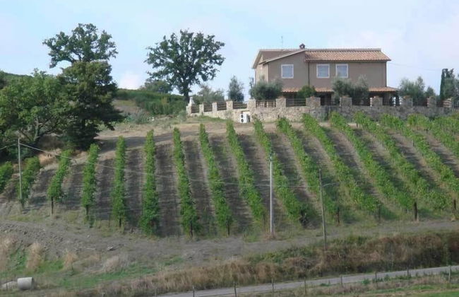 Bio Agriturismo Poggio Aione - Foto 59