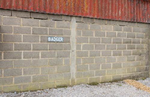 Badgers Sett - Foto 26