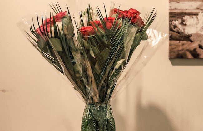 Bv Apartments Conditioning House Bradford - Photo 17