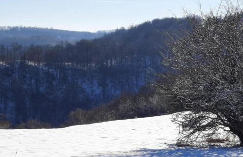 Ferienwohnung in den Hüttenroder Bergen - Foto 18