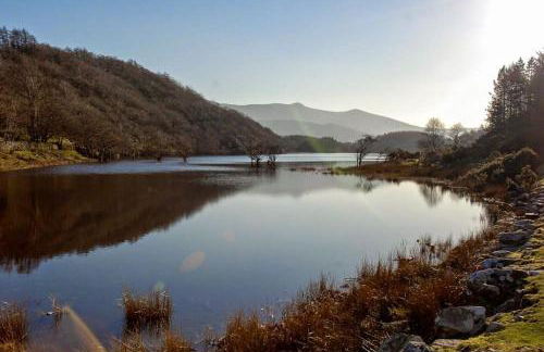 Derwin-Fawr - Photo 17