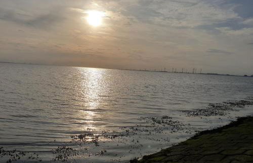 Johannes Hof - Foto 19